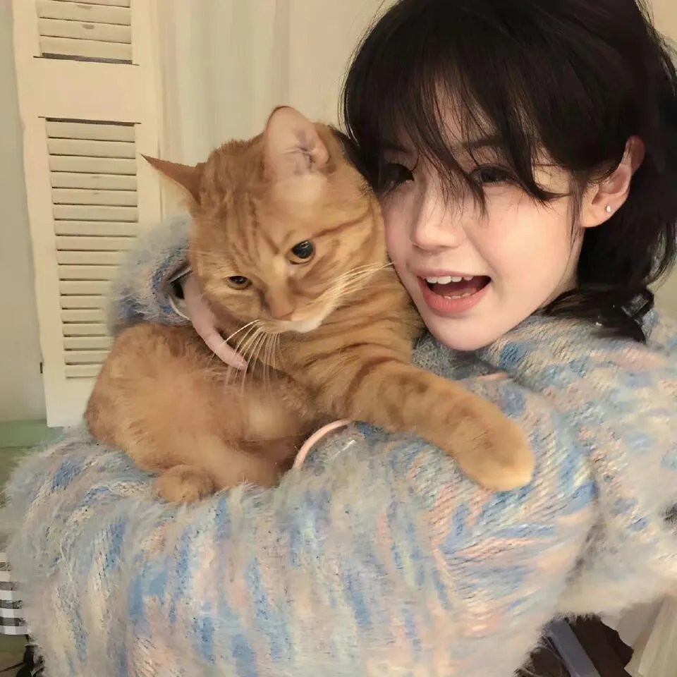 赛尔号第十季之冰封要塞